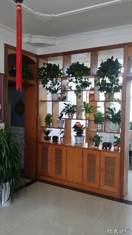 20150826_182456.jpg