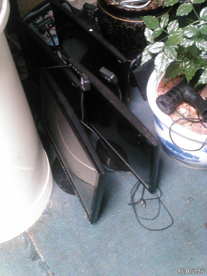 IMG_20150829_095607_730.jpg
