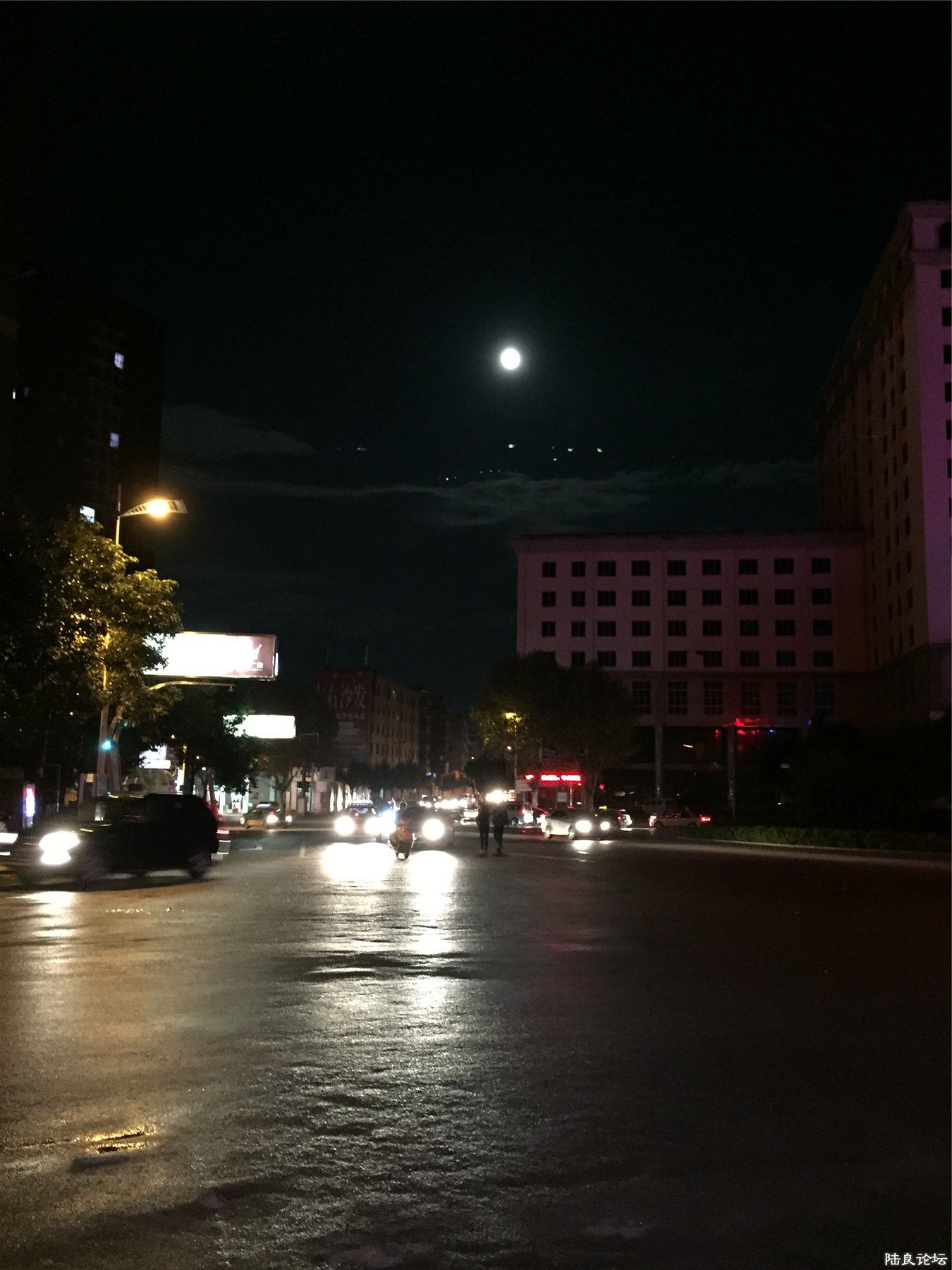 IMG_4698.jpg