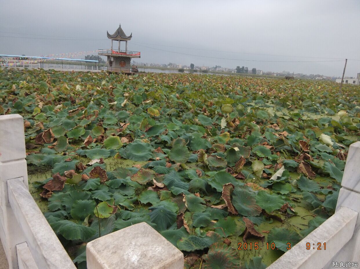 QQͼƬ20151012194645.jpg
