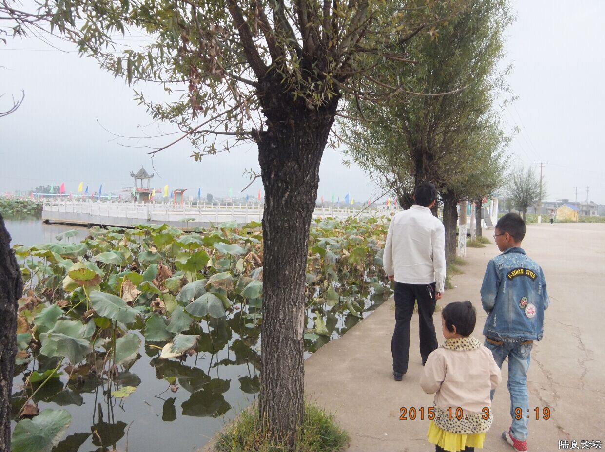 QQ图片20151012194623.jpg