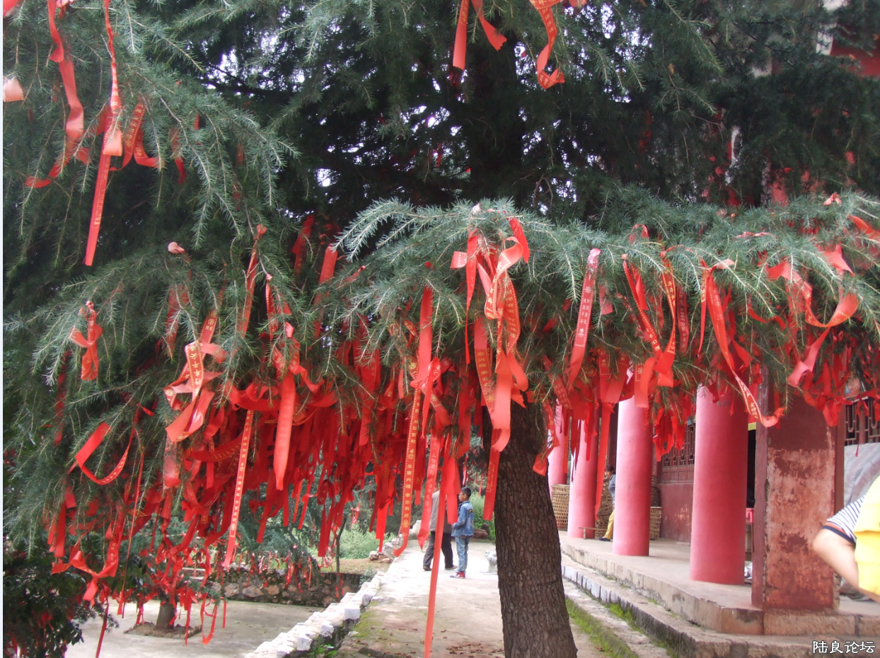 QQ图片20151012195200.png