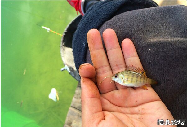 %1[(4HE@OEDHF$NWP9VQ(SV.jpg %1[(4HE@OEDHF$NWP9VQ(SV.jpg