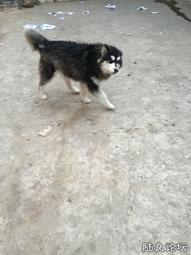 image.jpeg