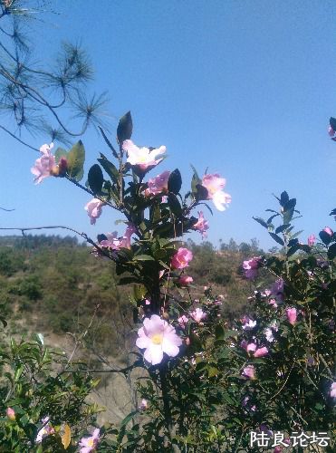 IMG_20160308_150229.jpg
