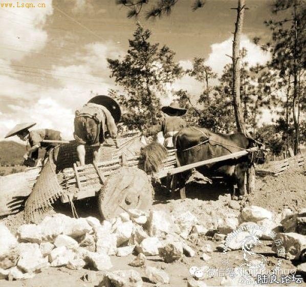 ڵʱΪ޽ӵˣΪģֻΪڷԡ