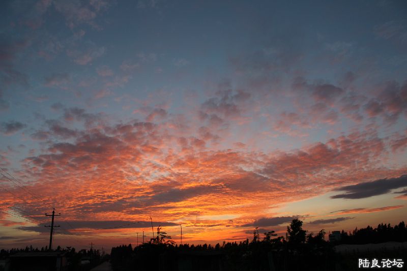 IMG_1429.JPG