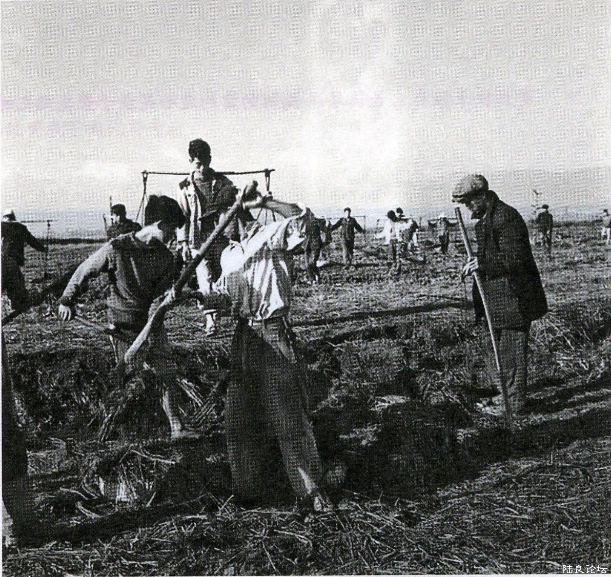 Pim0023.jpg