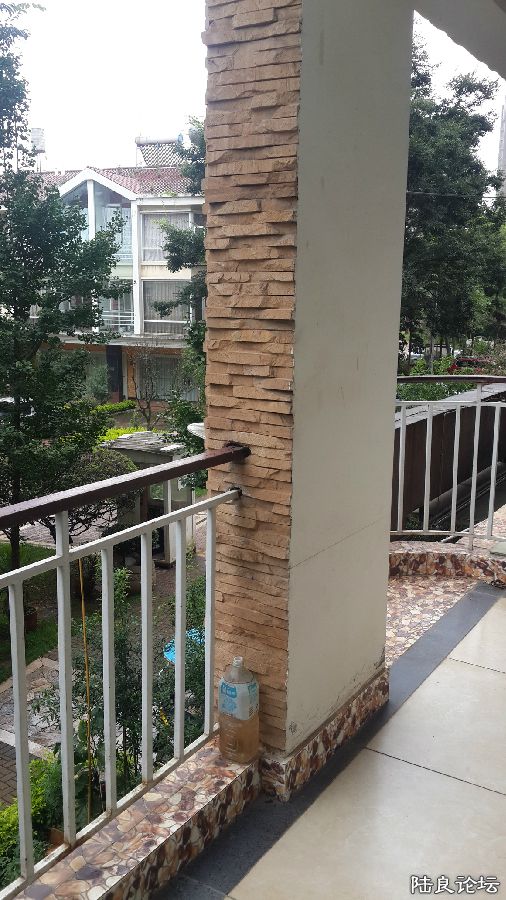 20160811_105019.jpg