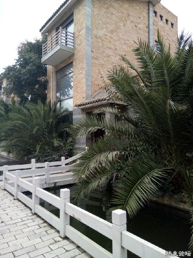 IMG20161025101023.jpg