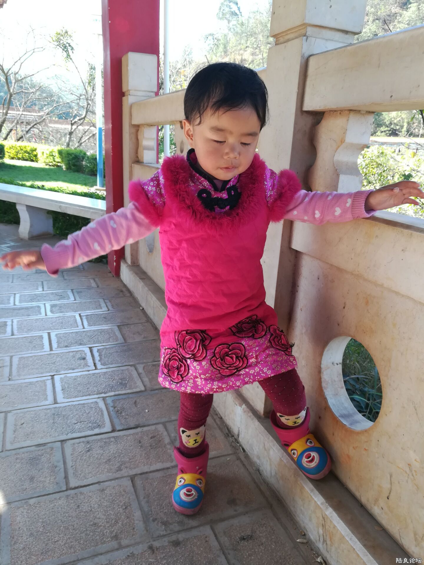 QQͼƬ20170207110621.jpg