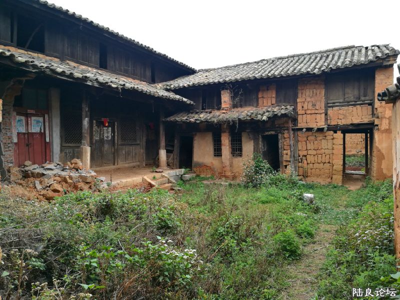 DPP_006.JPG