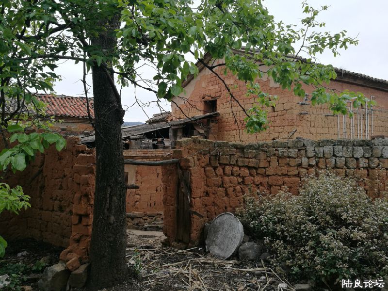 DPP_022.JPG