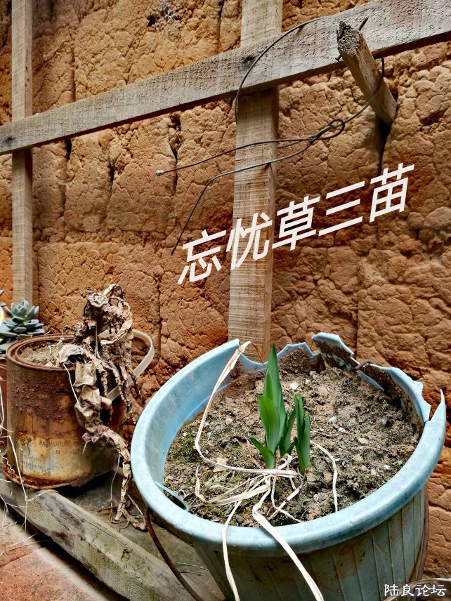 DPP_025.JPG