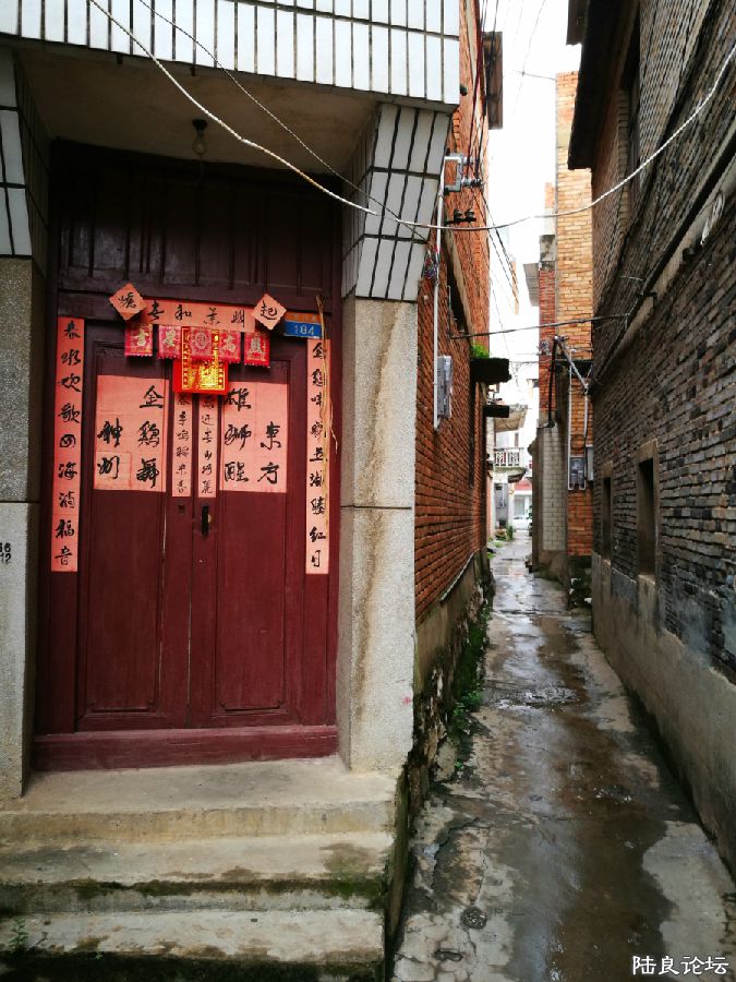 DPP_003.JPG