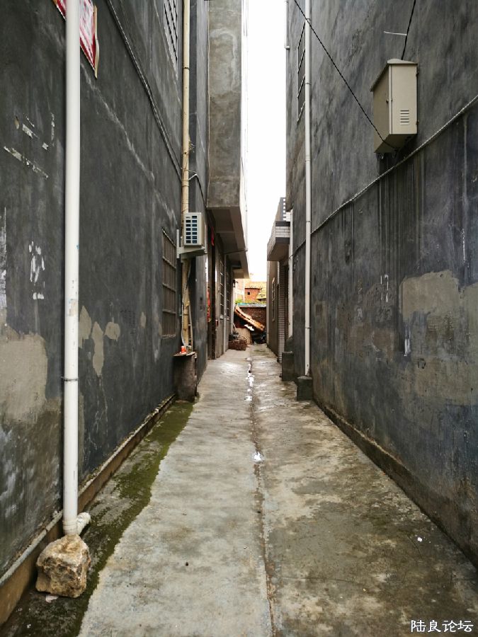 DPP_007.JPG