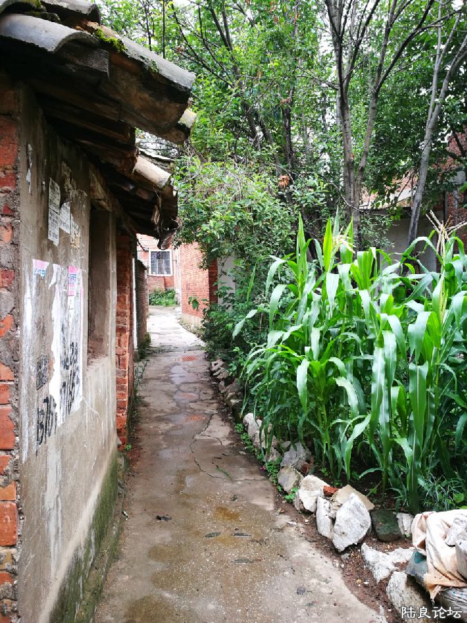 DPP_008.JPG