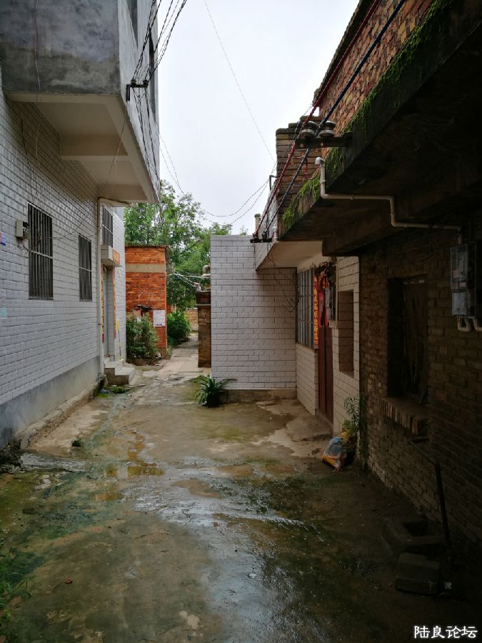 DPP_010.JPG