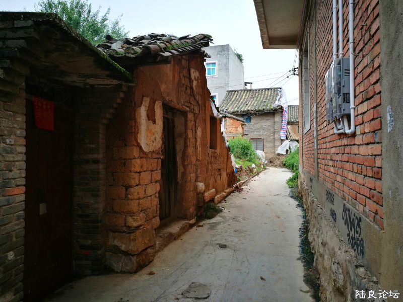 DPP_011.JPG