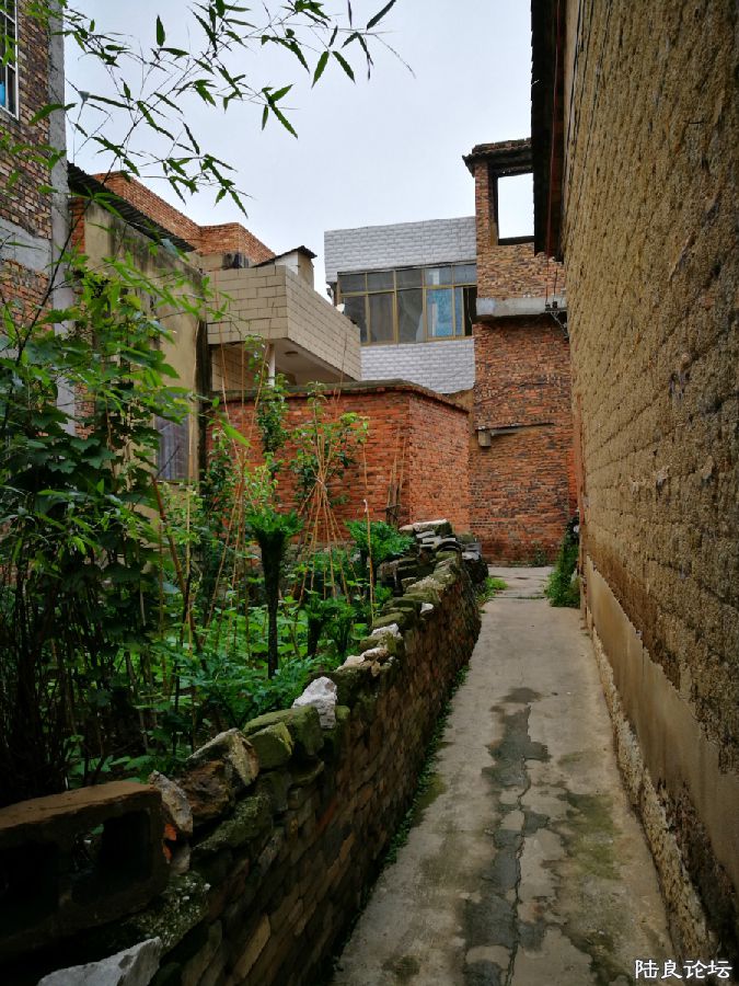 DPP_014.JPG