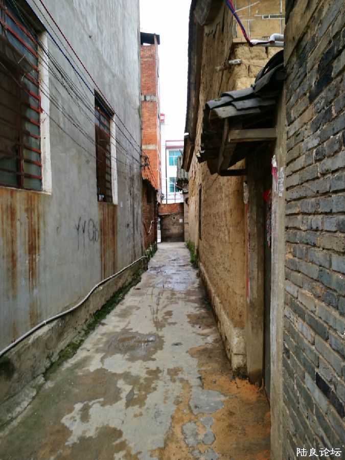 DPP_015.JPG
