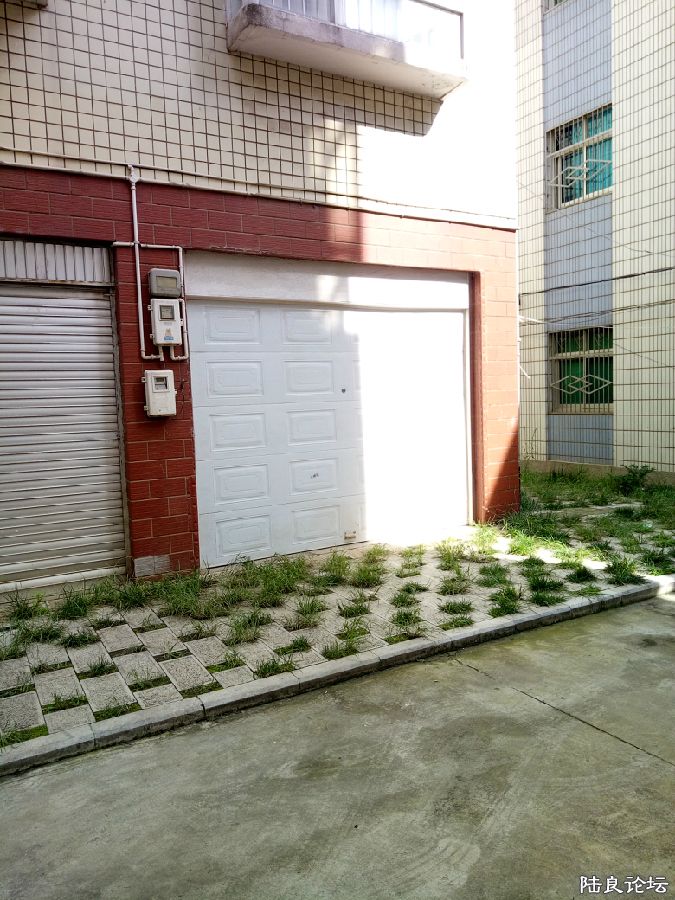 IMG20170725093810.jpg