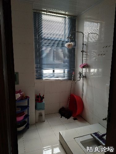 121357gj1c233i1evza93l.jpg