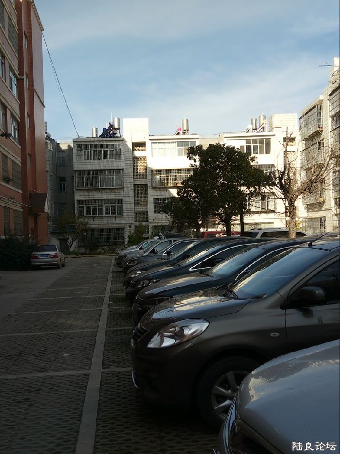 IMG20171113094343.jpg