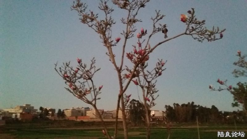 20170114_185747.jpg