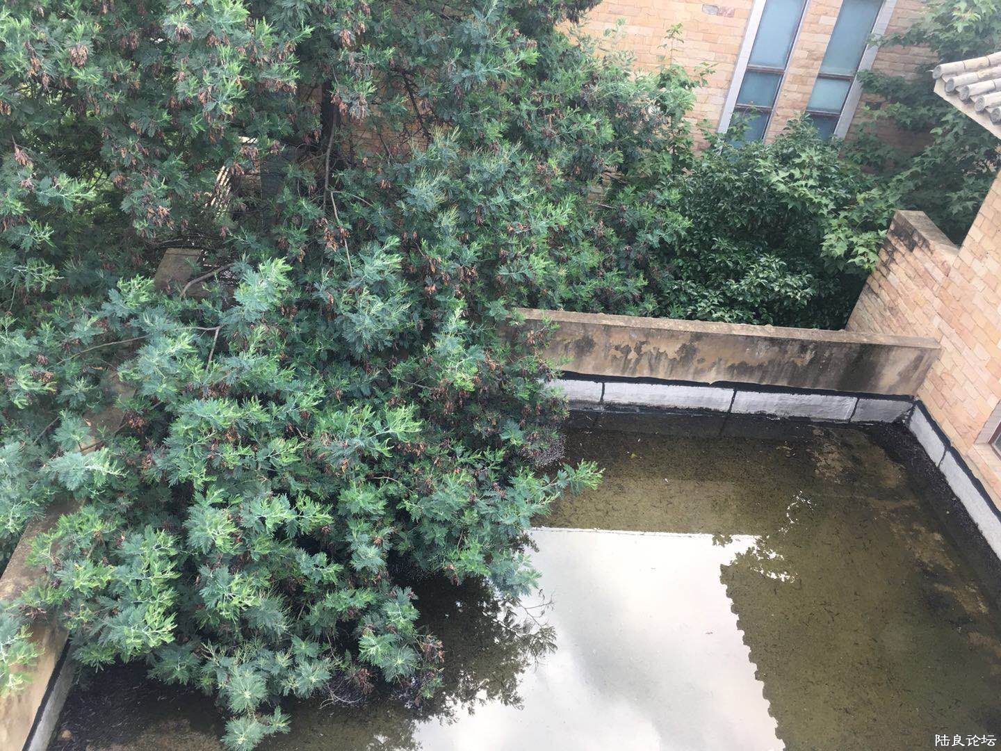 露台
