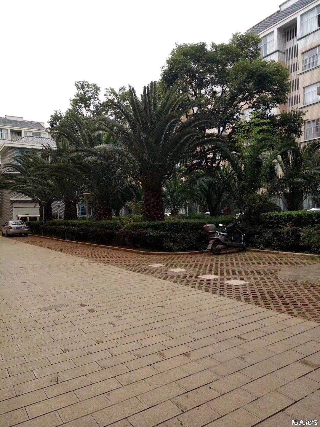 ΢ͼƬ_20180717104828.jpg