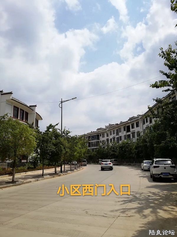 mmexport1532481941671.jpg