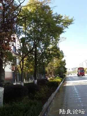 20181114_145918_.jpg