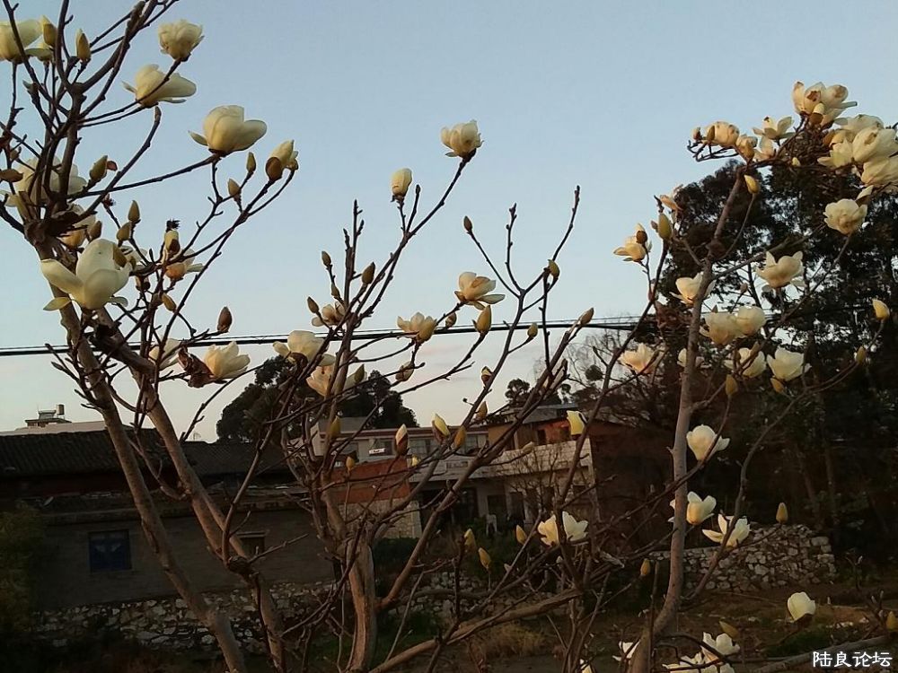 20180118_182609-1.jpg