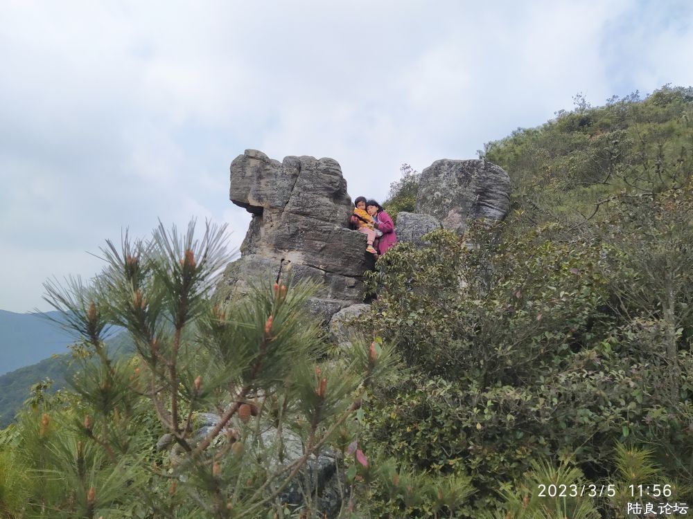 IMG_20230305_160358.jpg