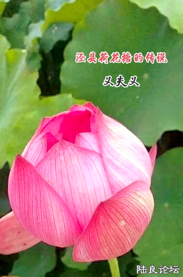 1ce8c230cb43cc1f14dd1dae4c9ddcf1_013625si2c6k9iz2.png