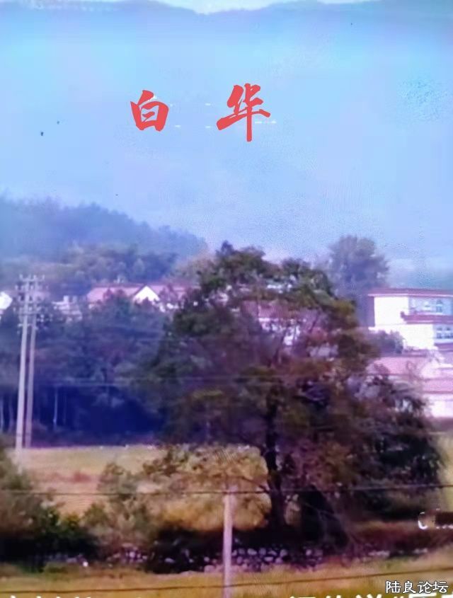 5dd1970492576021caa9c14383250783_1650560972740111_535.jpg