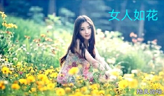c6b5550c850ac0420ce9d6a8d5db6442.png