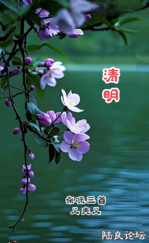 QQ_1743773499915.png QQ_1743773499915.png