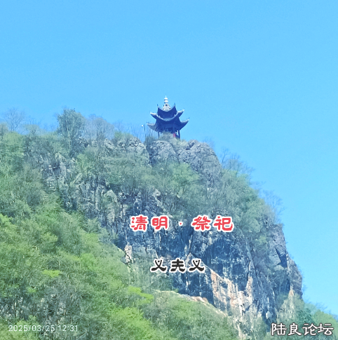 QQ_1743773644759.png QQ_1743773644759.png