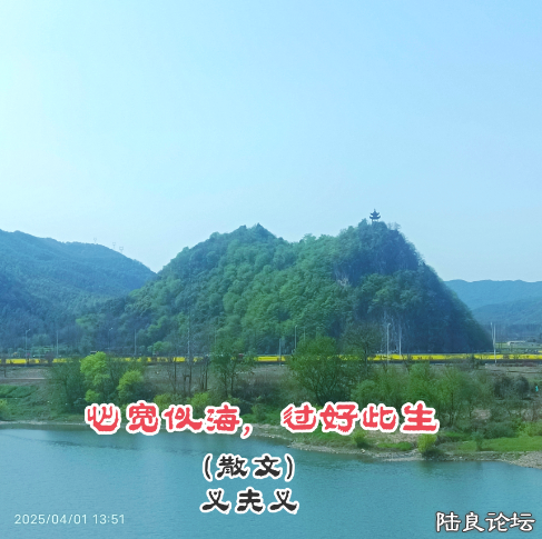 QQ_1744163845461.png