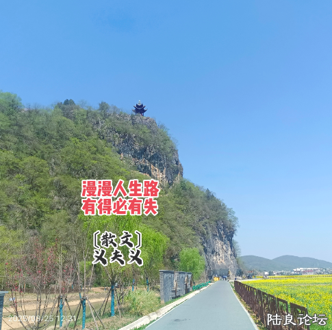 QQ_1744554384267.png
