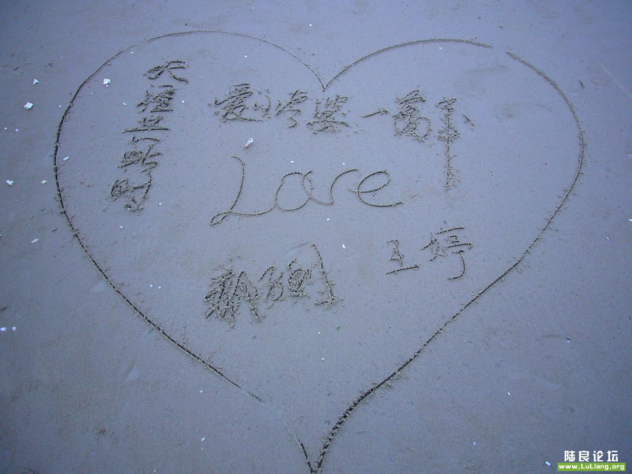 P1000066.JPG