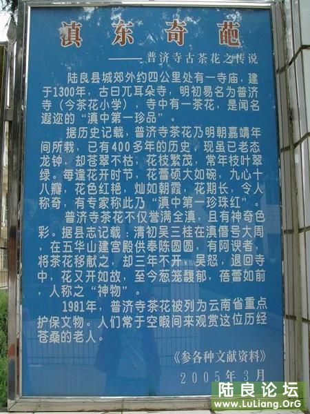 20071123101932225.jpg