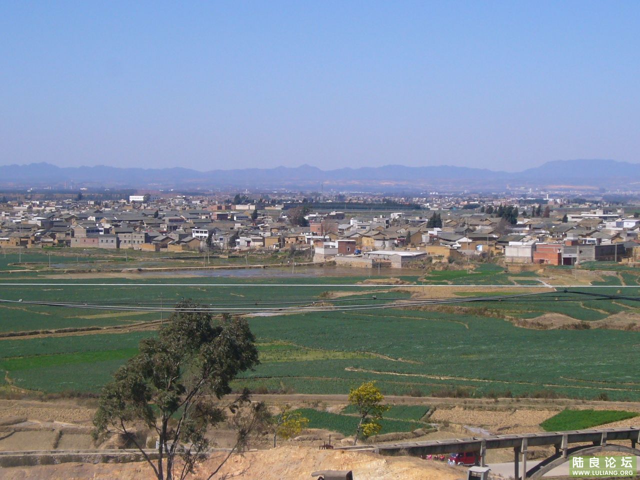 P1000022.JPG