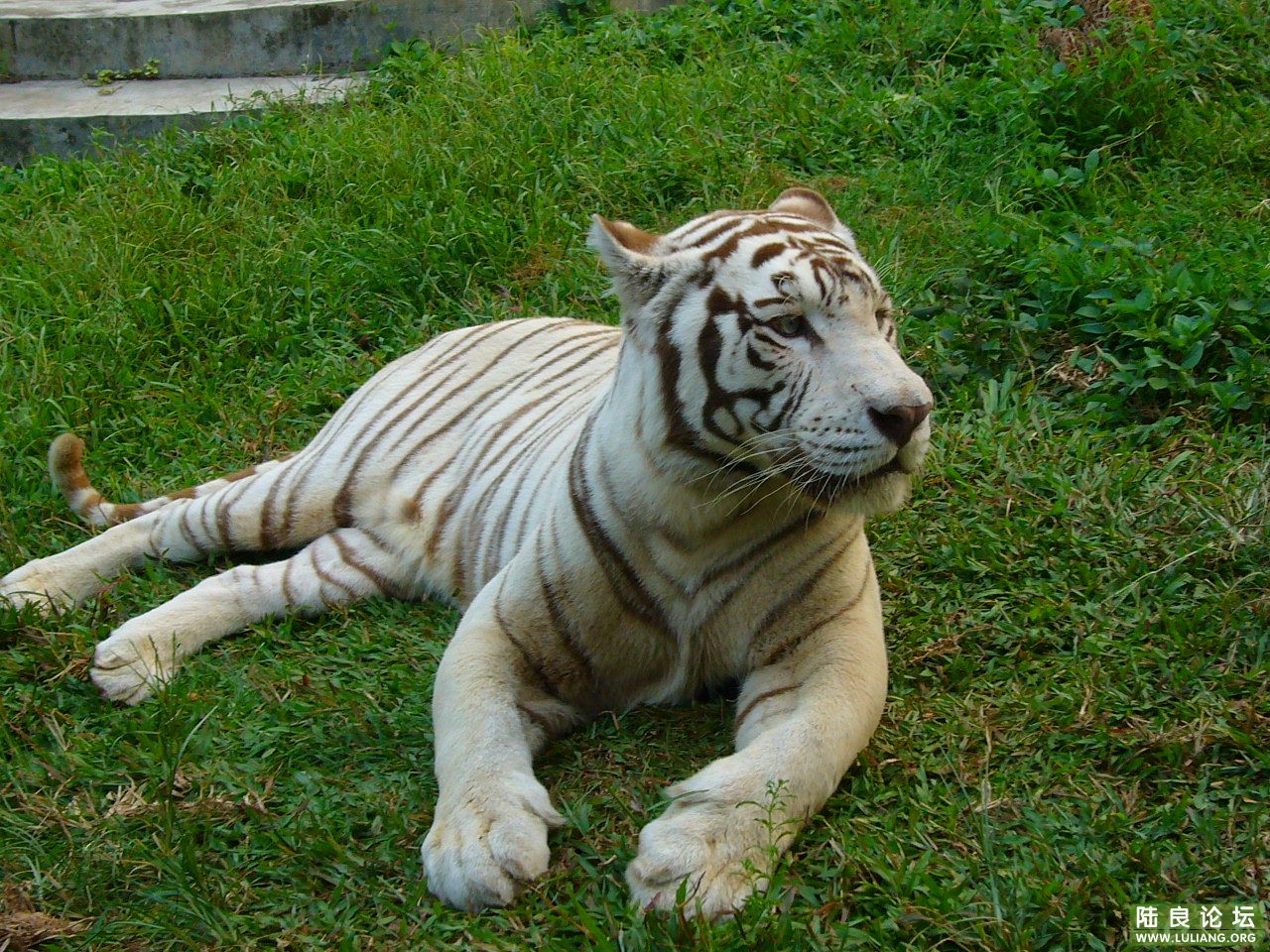 P1010256.JPG