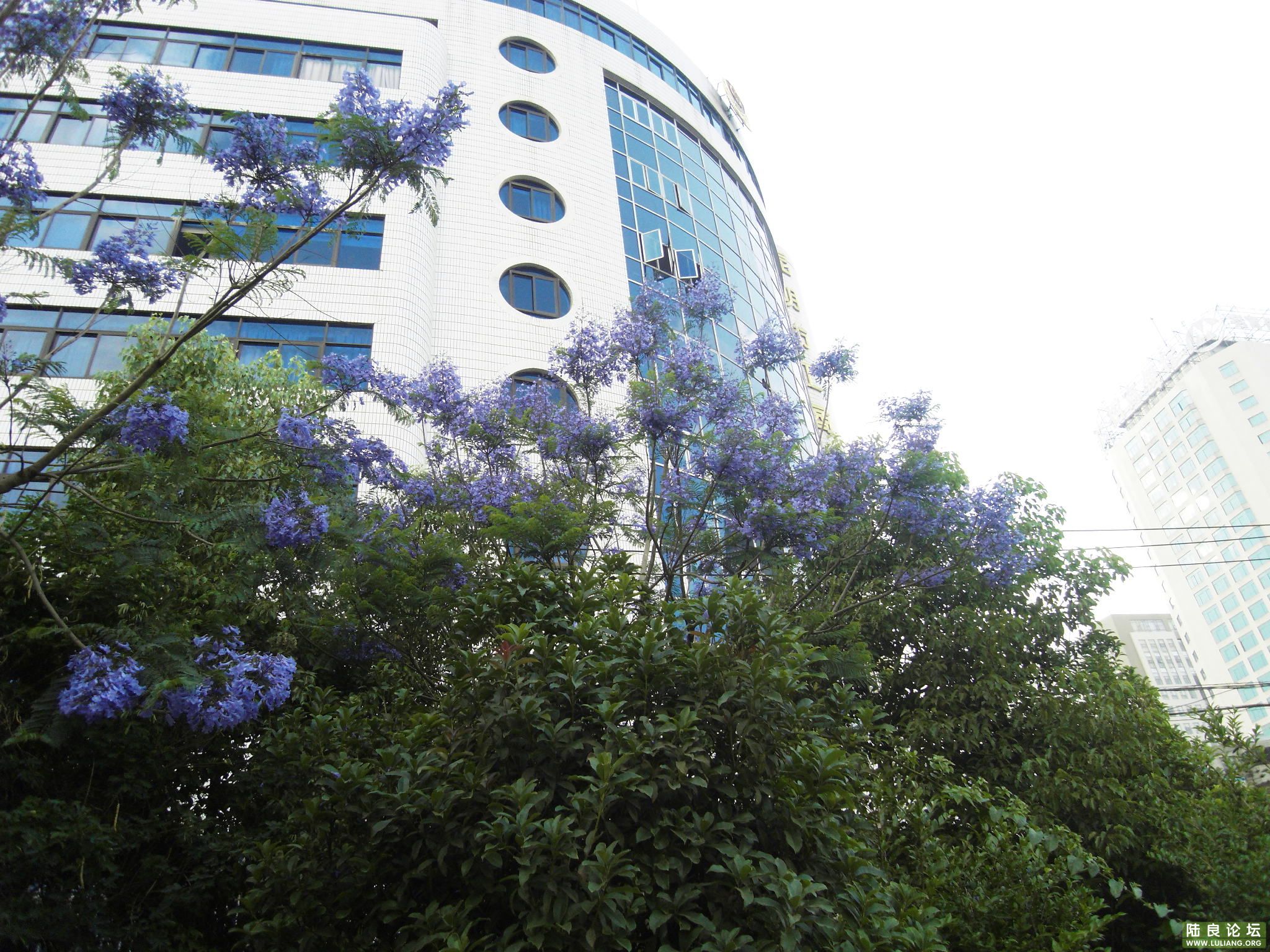 SDC10211.JPG