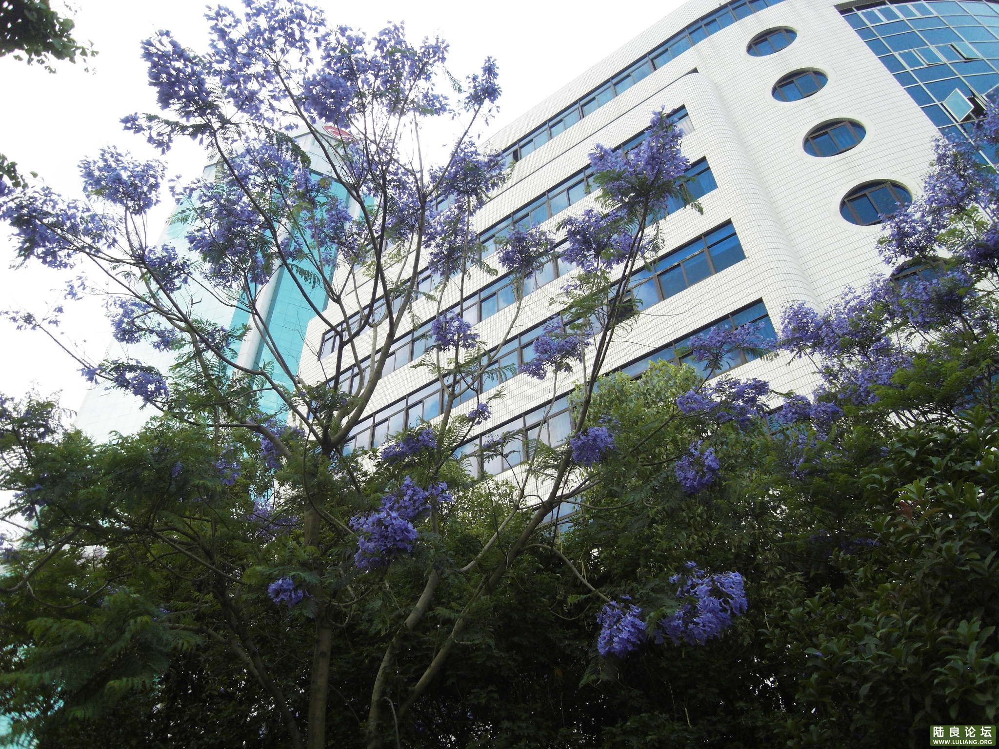 SDC10212.JPG