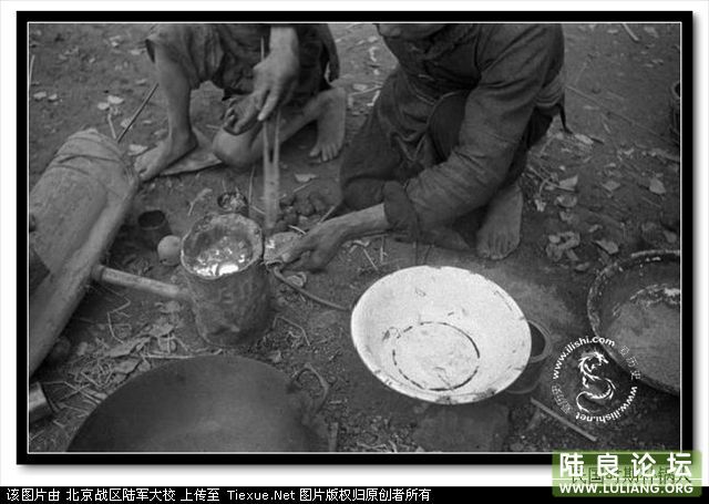 2010_3_16_24031_10824031.jpg 2010_3_16_24031_10824031.jpg