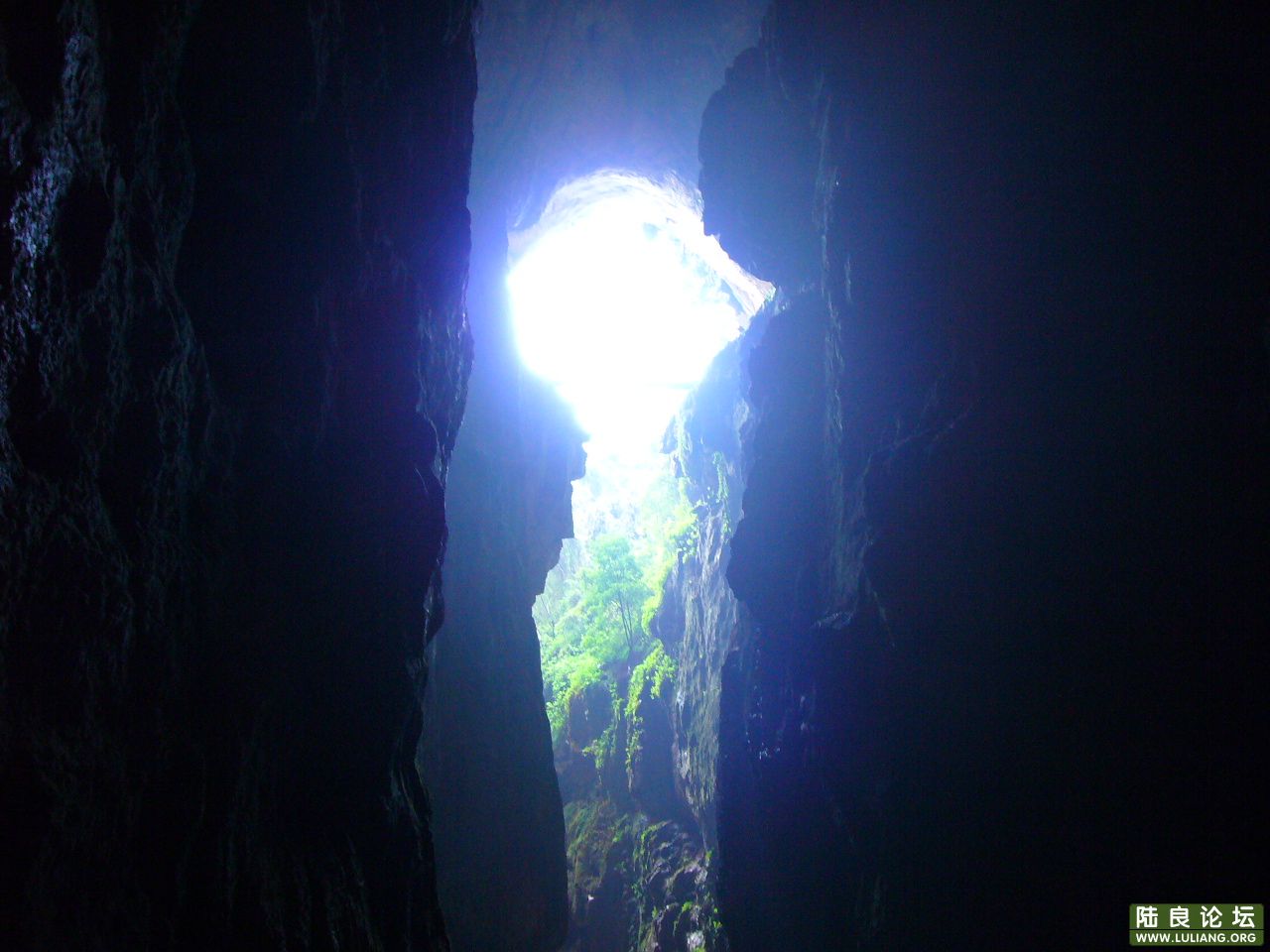P1000460.JPG